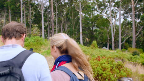 couple walking in the countryside, back view