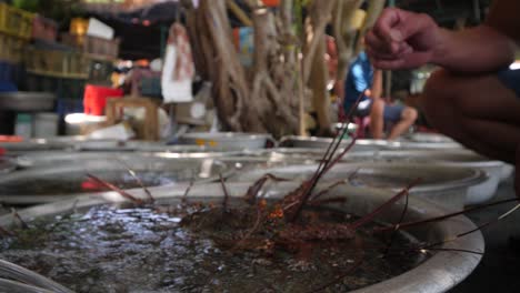 close up of basin full of lobsters with buyer's hand picking one lobster.