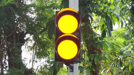 Yellow-traffic-light-is-blinking-with-green-tree-leaves-on-the-background