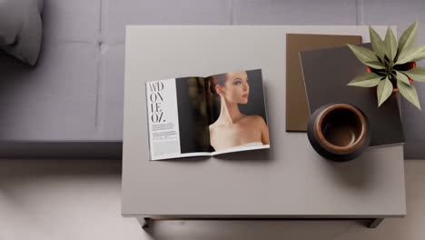 overhead view of a modern living room with coffee table, magazine, and plant