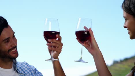 pareja brindando copas de vino en la granja