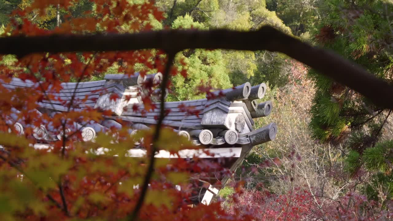 Beautiful slow motion slider over detail of rooftop in Japanese shrine during fall