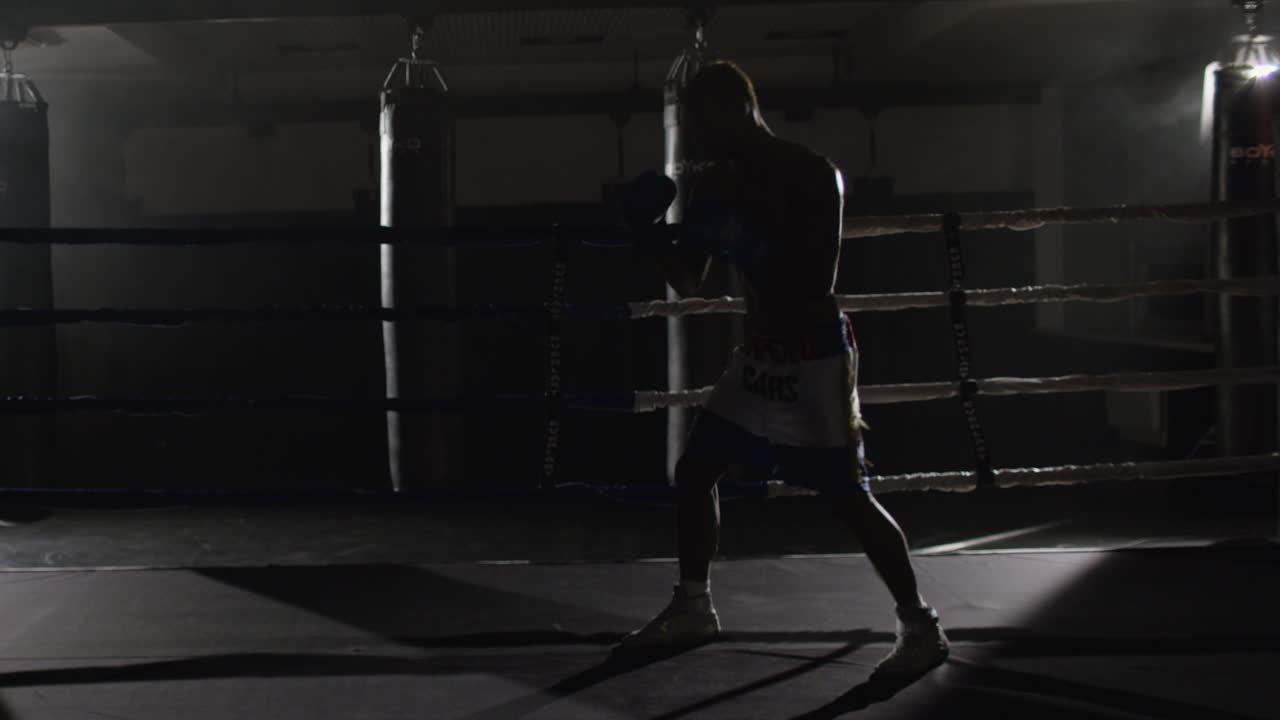 L'addestramento del pugile sul ring