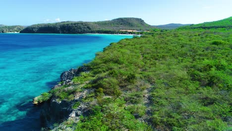 Cactus-dry-shrubland-coastline-of-Curacao-into-clear-blue-ocean-waters,-Drone-trucking-pan-side-to-side