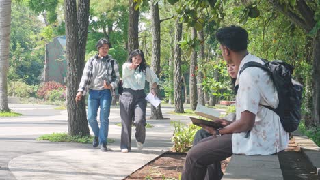 students studying and chatting in a park