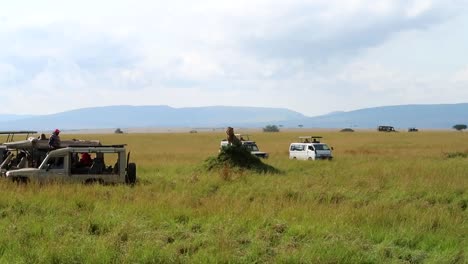 immovable lion on ground elevation next to tourists during safari, africa