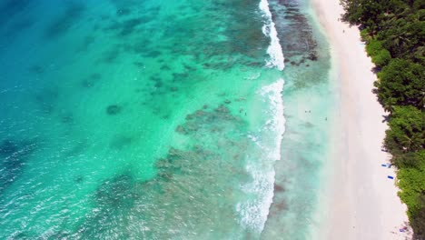 drone shot of takamaka beach, showing clients swimming and spending time on the beach