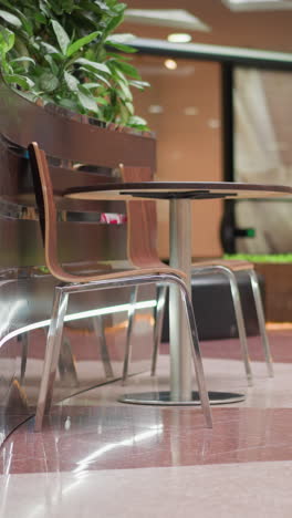 primer plano del interior de un centro comercial moderno con muebles elegantes, plantas y superficie brillante que refleja la luz, una mesa y sillas cerca de una planta decorativa en un espacio bien diseñado