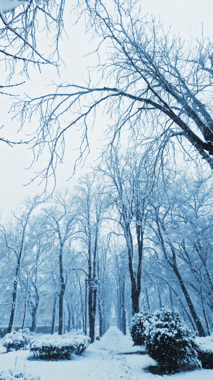 Scène verticale 9:16 d’une forêt hivernale avec des chutes de neige et une atmosphère brumeuse. Arrière-plan blanc minimaliste pour les reels des réseaux sociaux, TikTok et le contenu mobile