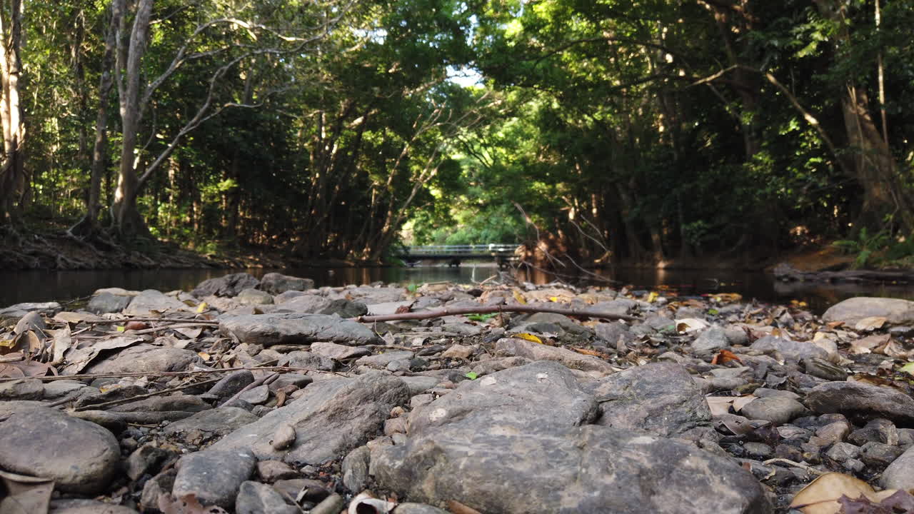foot walks in front of camera in slow motion with a beautiful creek in the background