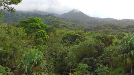 Dron-Escénico-Fpv-Volando-Suavemente-Sobre-árboles-Con-Fondo-Selvático-En-Santa-Marta,-Colombia,-Sudamérica