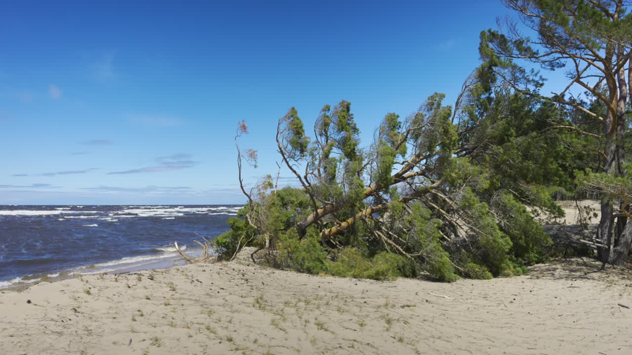 шторм в балтийском море в солнечный весенний день