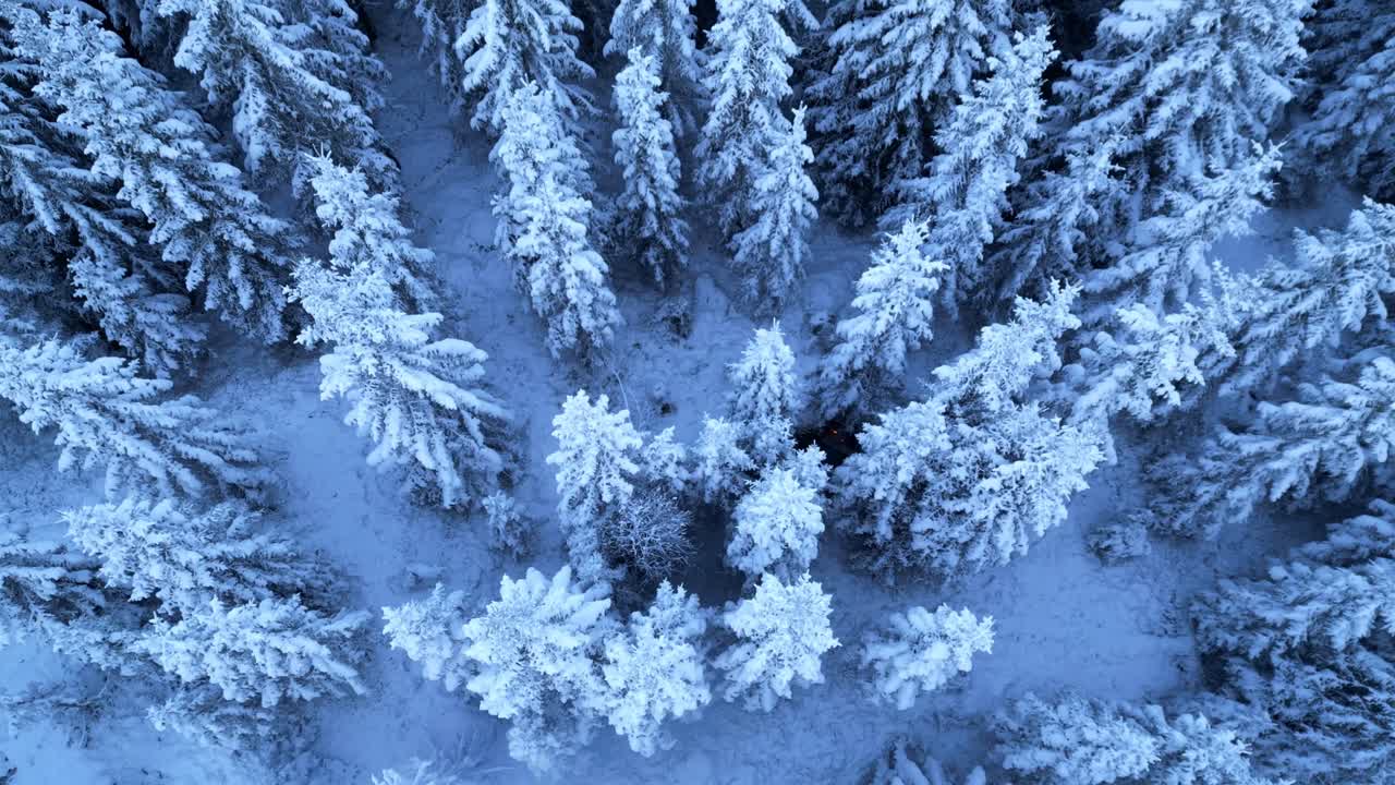 Et enslig bål flammer i den kalde, snødekte skogen