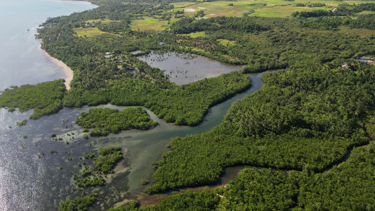 Aerial forward shot of winding mangrove river and estuary along tropical island coastline of Catanduanes, Philippines.