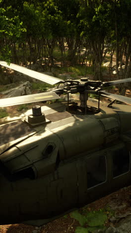 helicóptero black hawk aterrizando en un bosque