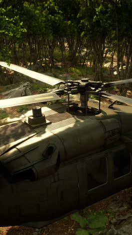 black hawk helicopter landing in a forest