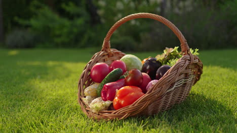 basket of fresh vegetables in a garden