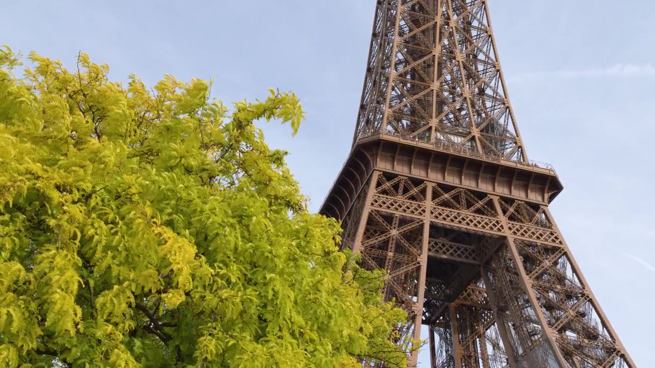 Un'inquadratura dal basso cattura la torre in traliccio di ferro dietro una vibrante vegetazione verde a Parigi.