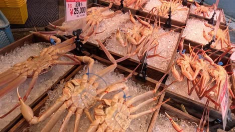 assorted crabs on ice for sale at market