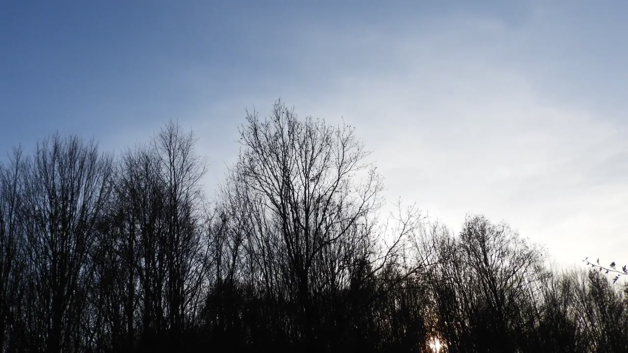 Beautiful sunset time lapse with sun going down into the trees