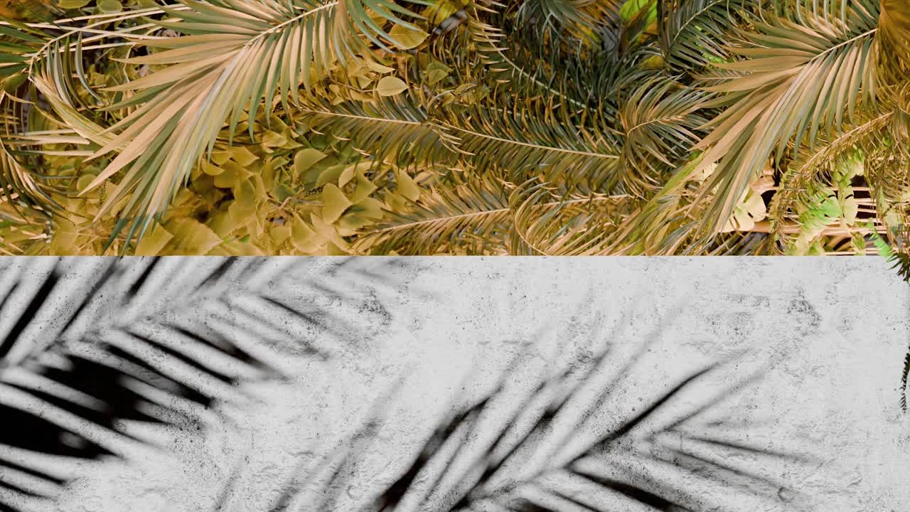 A Shadow of tropical palm leaves on white concrete wall with yellow jungle foliage frame. Nature inspired template background. Summer vacation and exotic botanical concept. Design for banner. vertical