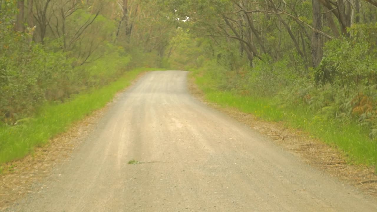 Slow motion landscape of rural gravel road 4WD driving track surrounded by bushland trees and forest shrubs in countryside town of Forster Tuncurry NSW Australia travel transport and outdoors