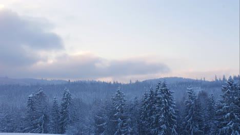 Schöner-Zeitraffer-Der-Winterlandschaft-Mit-Schneebedeckten-Baumkronen
