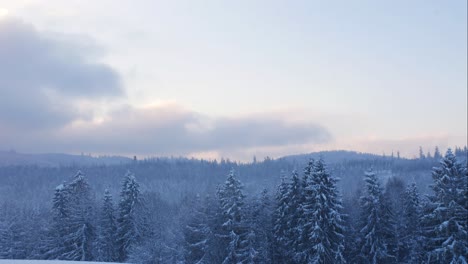 Hermoso-Lapso-De-Tiempo-Del-Paisaje-Invernal-Con-Copas-De-árboles-Cubiertas-De-Nieve