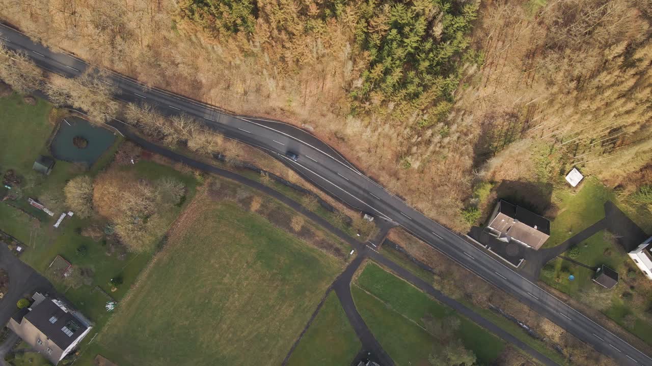 죽어가는 숲 위로 오름차순 샷