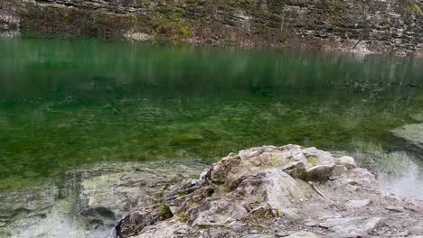 rocky canyon river in the forest