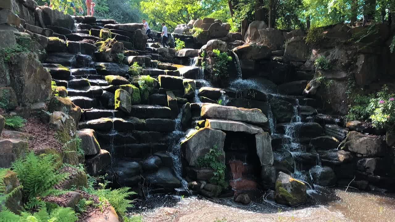 숲 바위 폭포 슬로우 모션