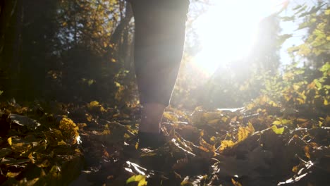 woman walking through leaves in park