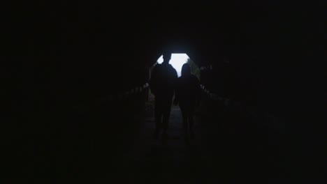 a couple walks through a covered path in the woods 1