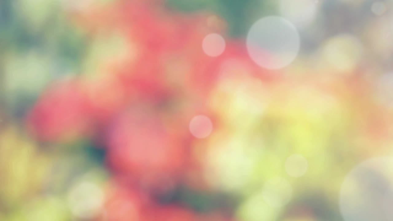 보케와 함께 추상적인 스프링 배경