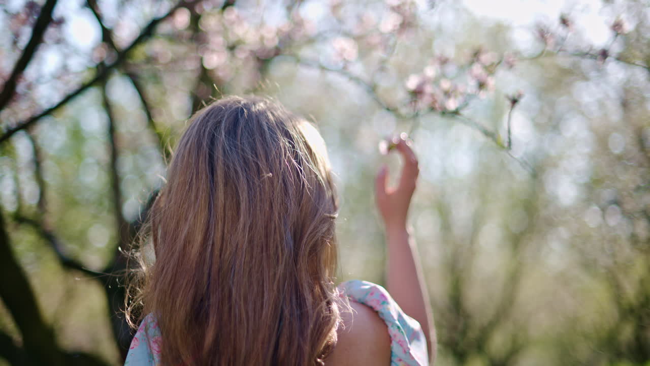 Brunette woman in a blue dress smelling a flower in a field of blooming almond trees