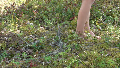 young girl walking barefoot on mossy forest floor, static view