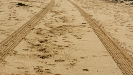 Reifenabdrücke-An-Einem-Sandstrand