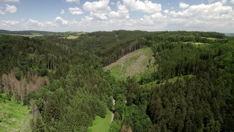 Hilly-landscape-with-green-forest-and-road-with-passing-car,-optimistic-horizon-view-on-sunny-day-with-white-clouds