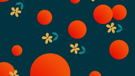 animation of flowers over red black on black background