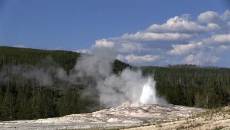 viejo géiser fiel entra en erupción en el parque nacional de yellowstone 2