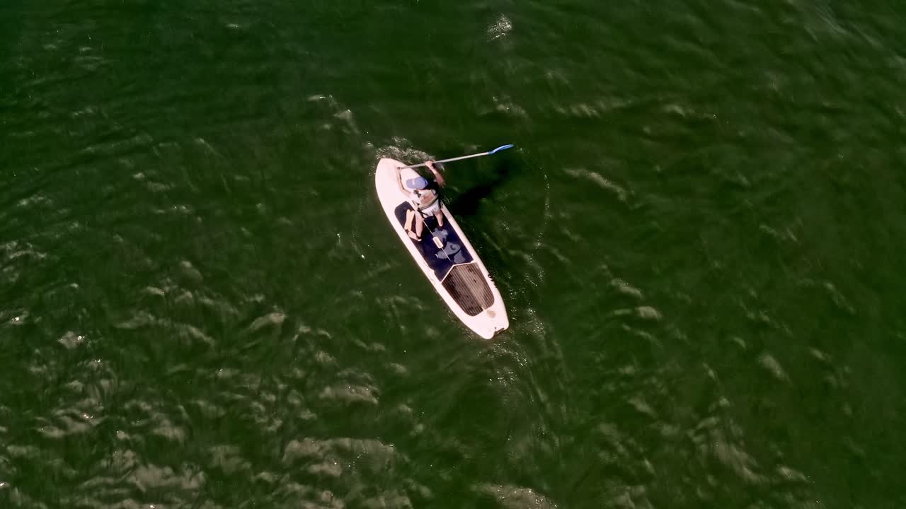 vista aérea de arriba hacia abajo de paddle boarder en el lago verde