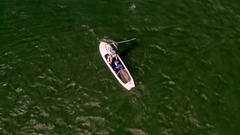 top down aerial view of paddle boarder on green lake