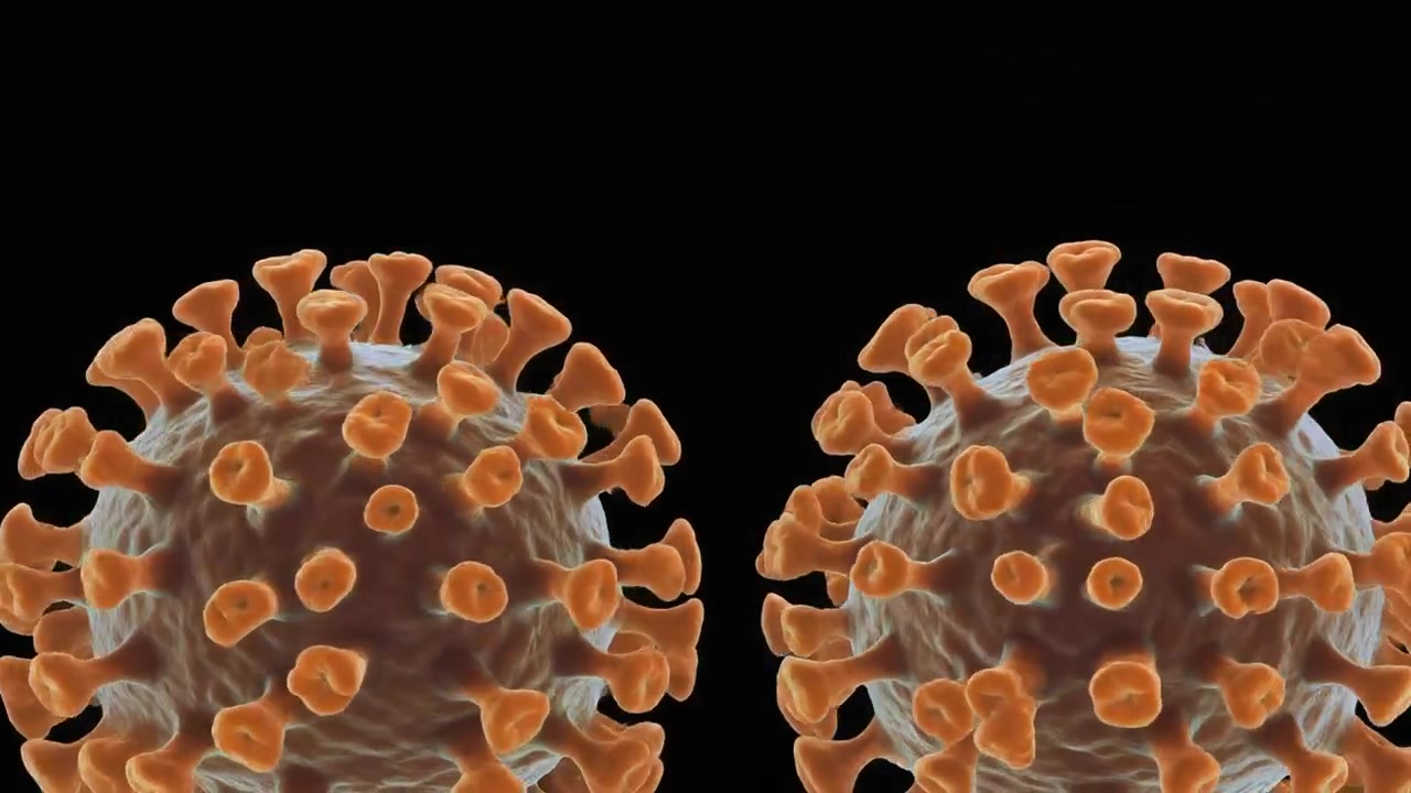 3D Animation of Coronavirus Cells Floating in Dark Space