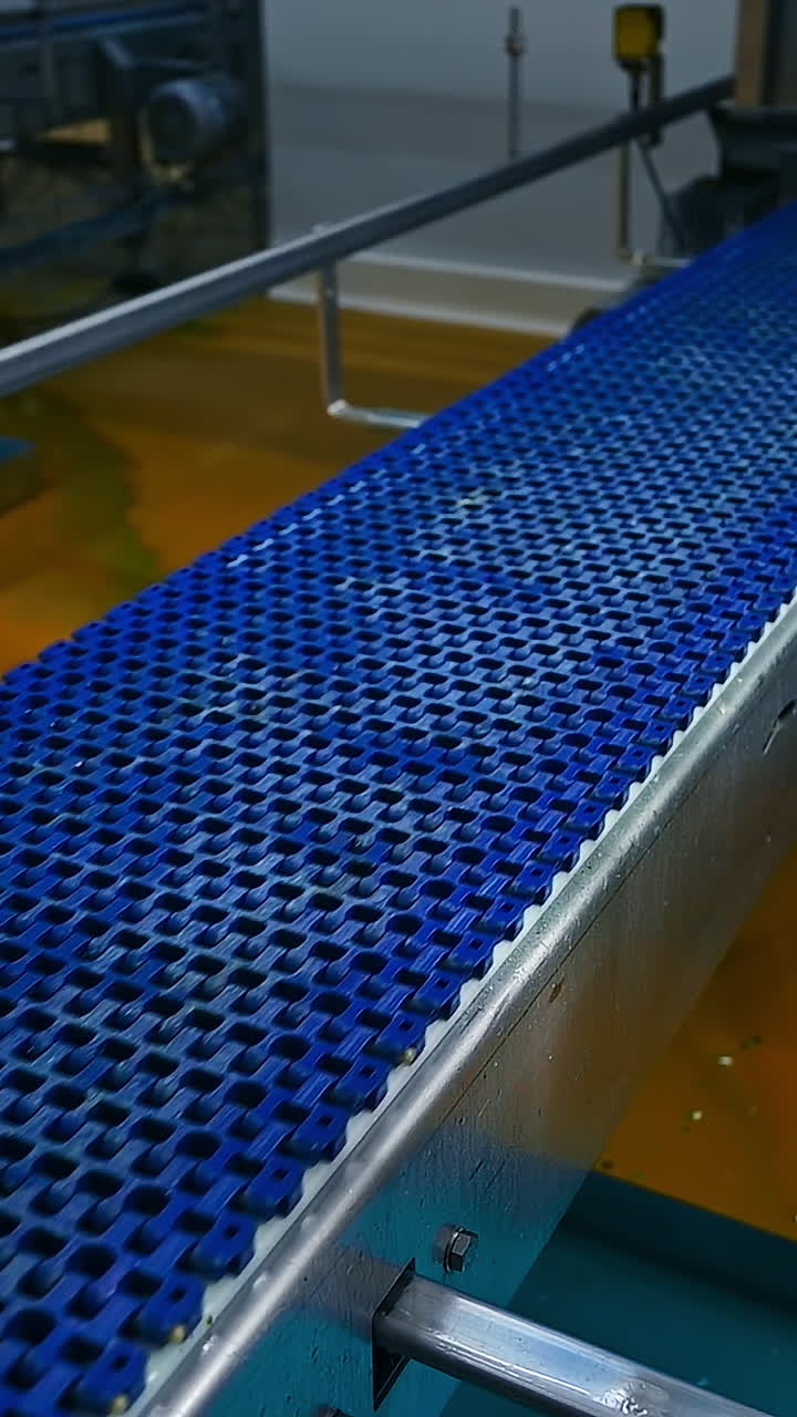 Industrial Egg Production Line. View of egg production line in action on the chicken farm