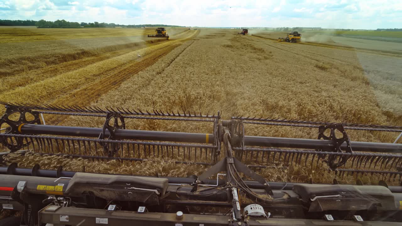 Harvesting of wheat in summer. Harvester working in the field. Combine harvester agricultural machine collecting golden ripe wheat on the field. View from the driver side.