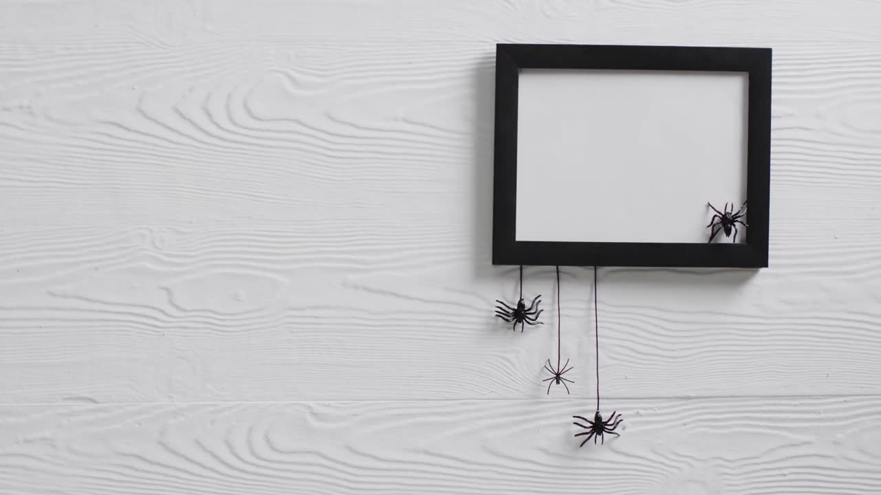 Video of black frame and spiders with copy space on white background