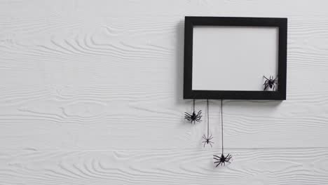 video of black frame and spiders with copy space on white background