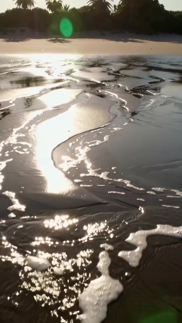 Video vertikal: Air surut menunjukkan pasir basah dan saluran di pantai, dengan suar hijau, buih, dan pohon palem.
