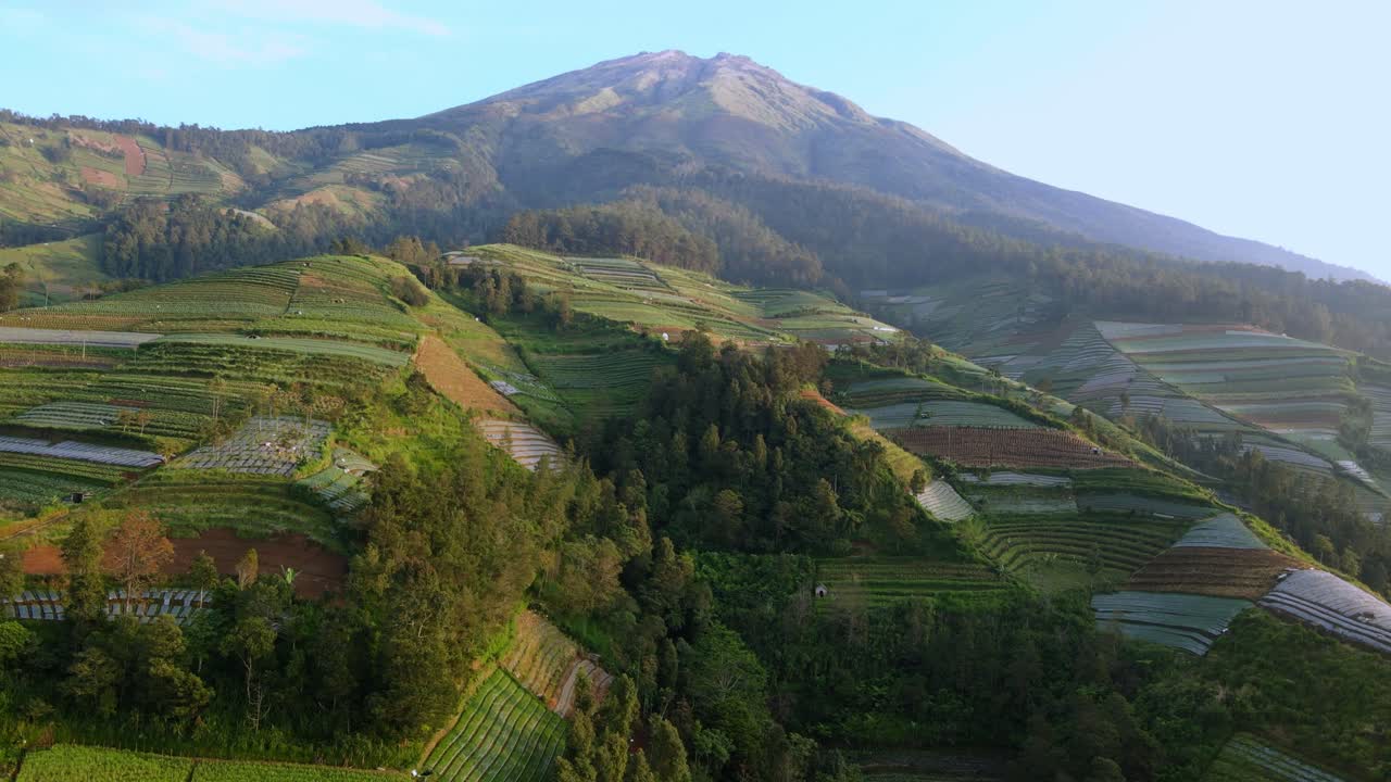 el vuelo del dron sobre la ladera de la montaña cambió a un campo agrícola.