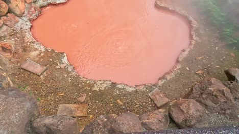 Hot-spring-water-,-red-pond-in-Umi-Jigoku-at-Beppu,-Oita-shi,-Kyushu,-Japan